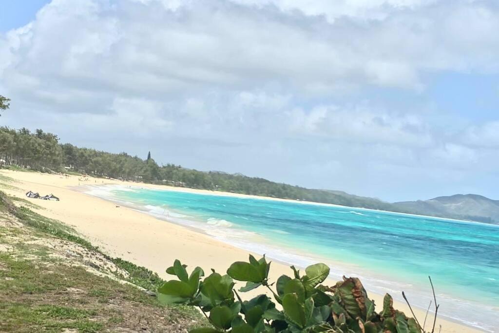 Photo of Others in Waikiki