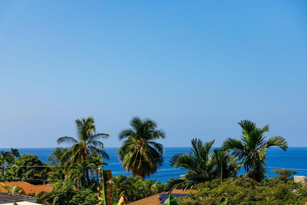 Photo of Others in Kahaluu Bay