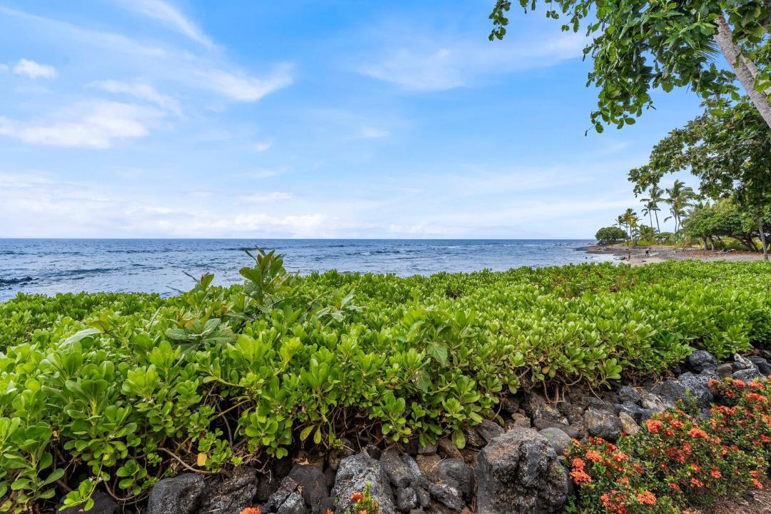 Photo of Others in Kahaluu Bay