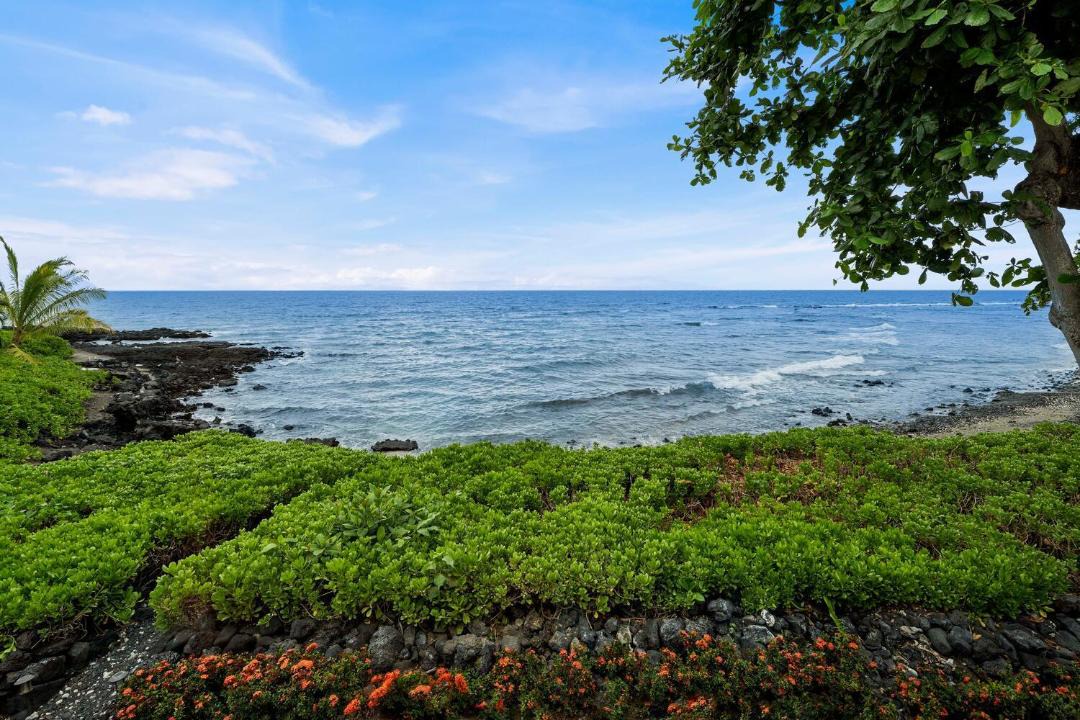 Photo of Others in Kahaluu Bay