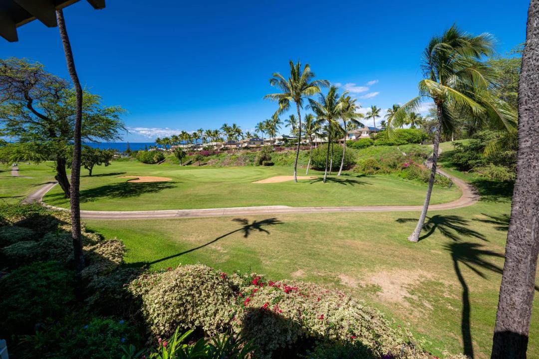 Photo of Others in Wailea