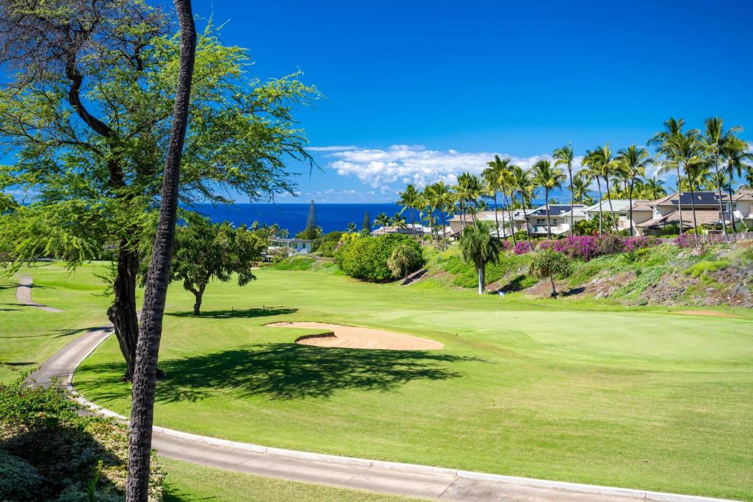 Photo of Others in Wailea
