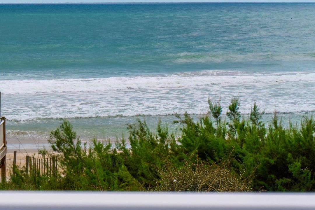 Photo of Others in Village of Stump Sound