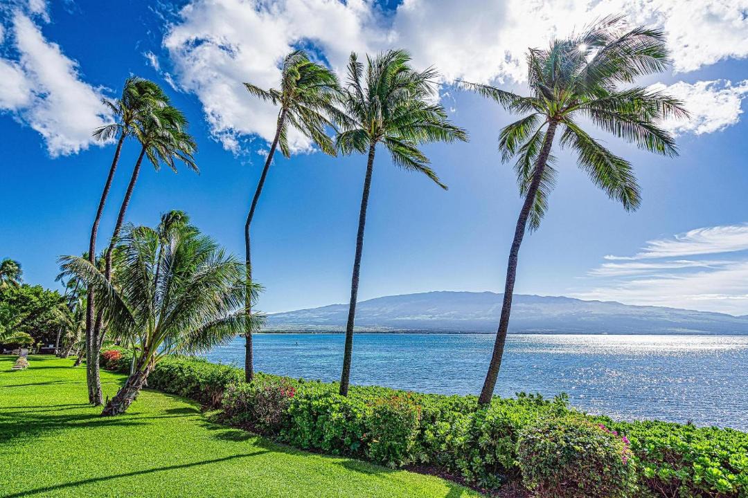 Photo of Others in Maalaea