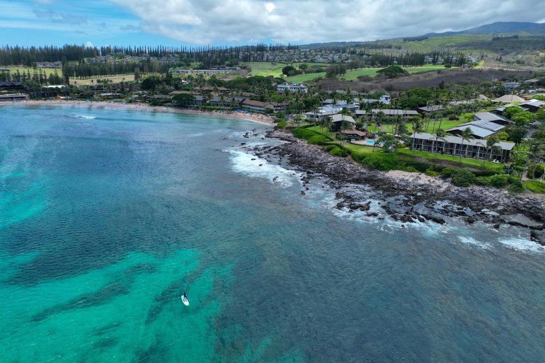 Photo of Outdoor in Napili