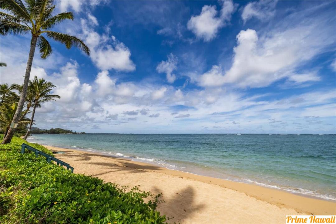 Photo of Others in Hauula
