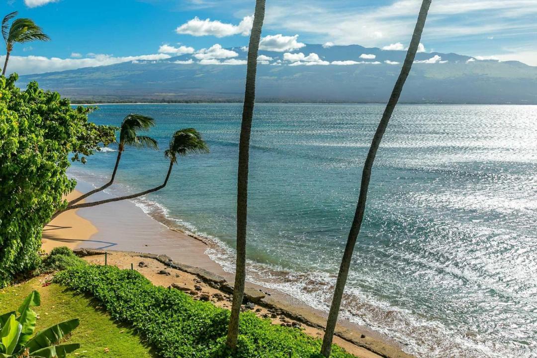Photo of Others in Maalaea
