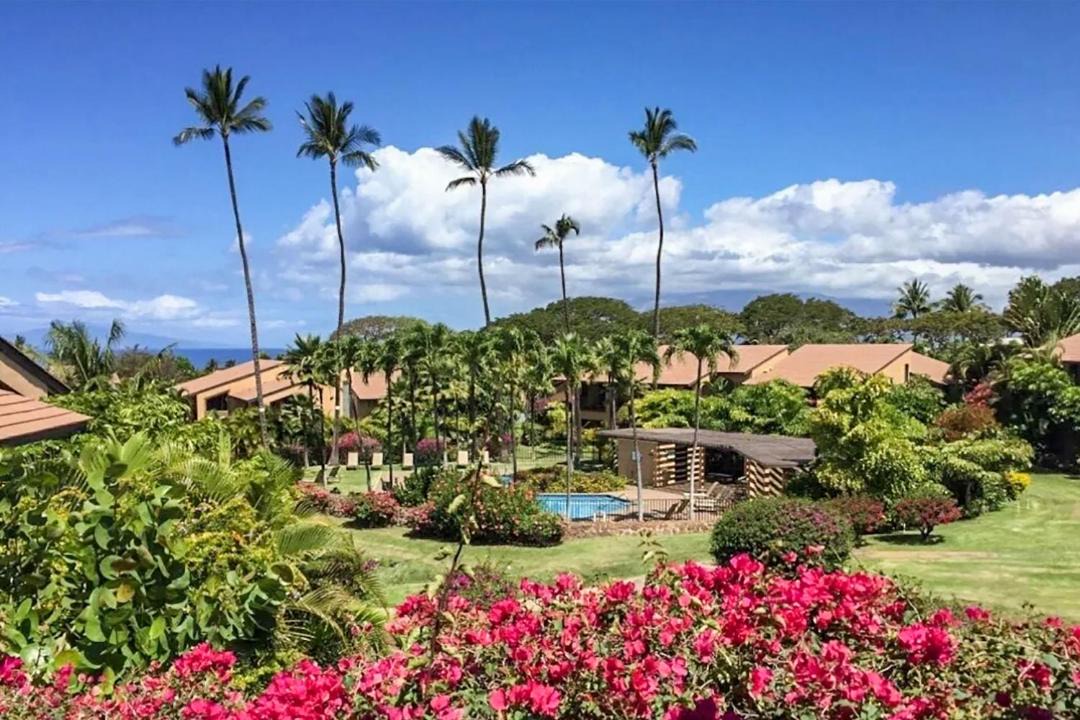 Photo of Others in Wailea