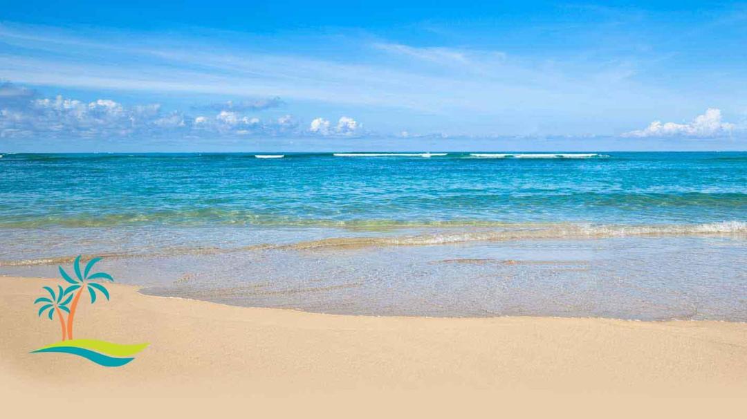 Photo of Others in Kaanapali