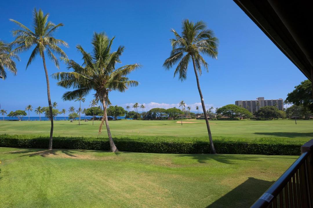 Photo of Others in Kaanapali
