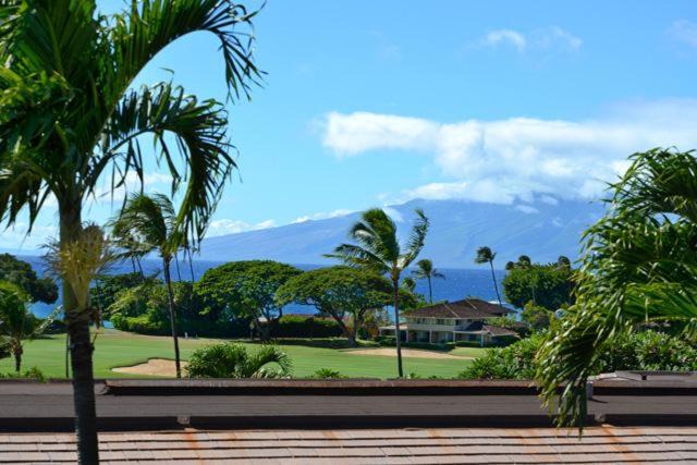 Photo of Others in Kaanapali