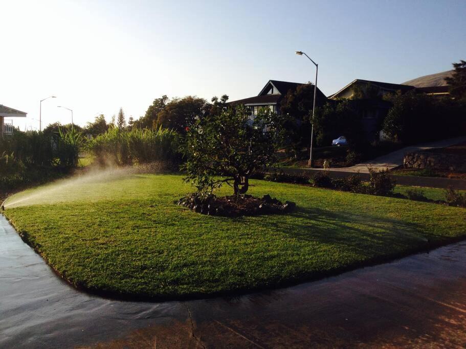 Photo of Outdoor in Kamuela