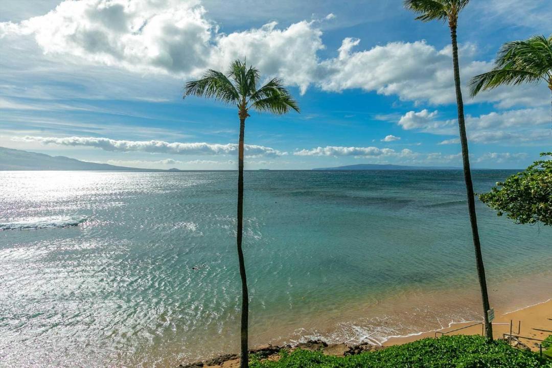 Photo of Others in Maalaea