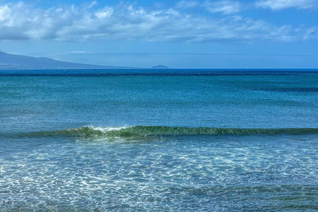 Photo of Others in Maalaea