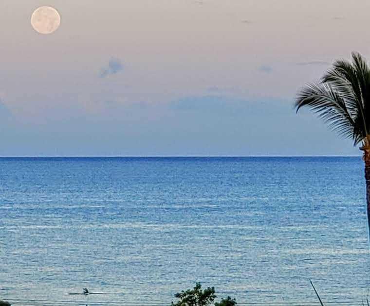 Photo of Others in Kihei