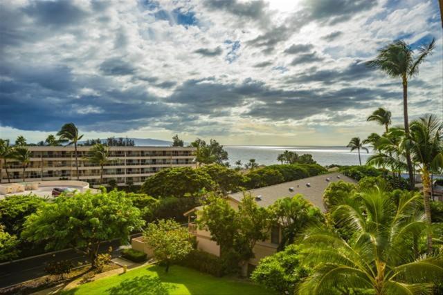 Photo of Others in Kihei
