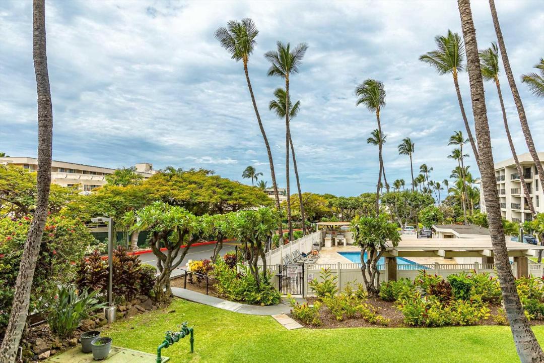 Photo of Others in Kihei