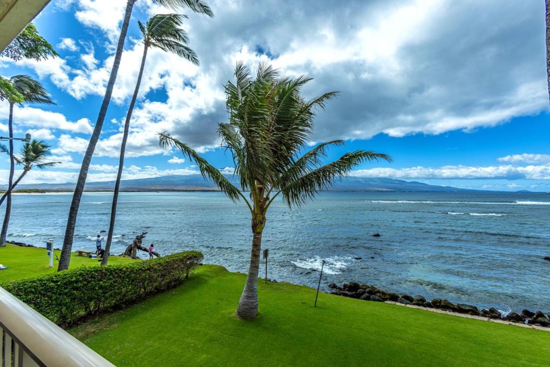 Photo of Others in Maalaea