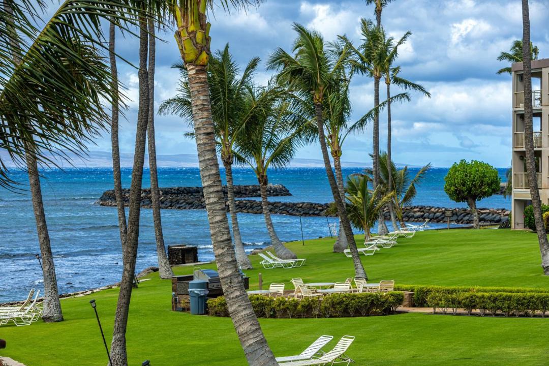 Photo of Others in Maalaea