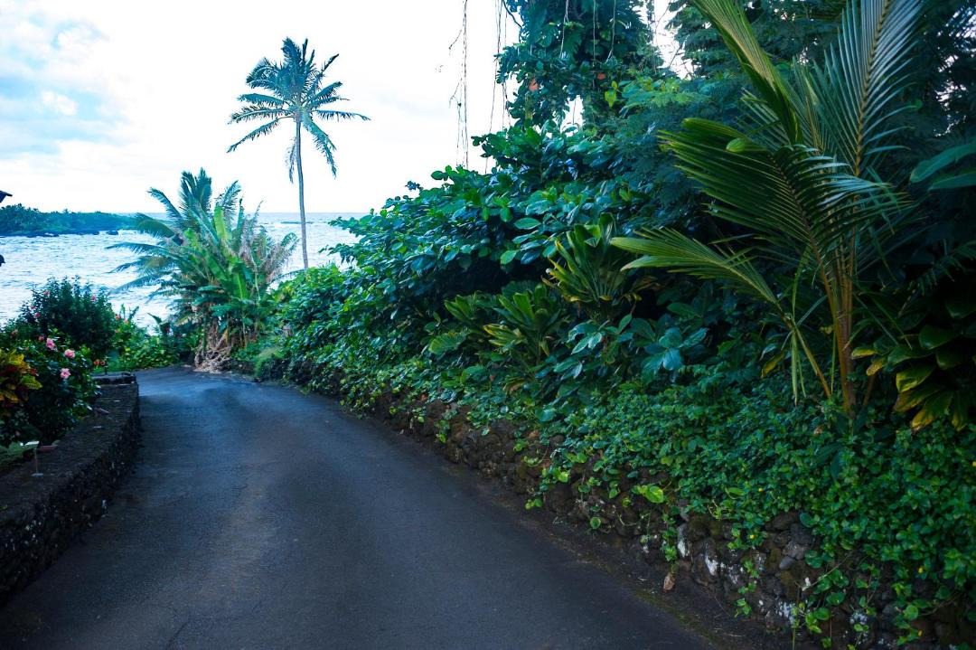 Photo of Others in Hana
