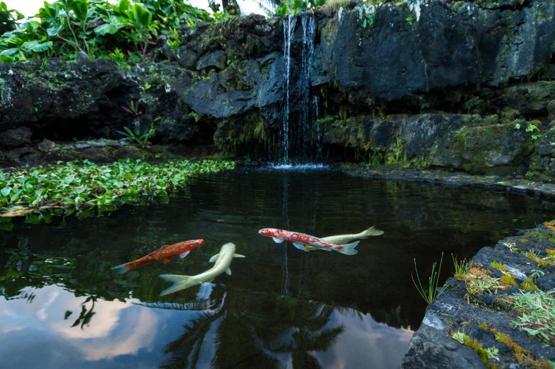 Photo of Others in Hana