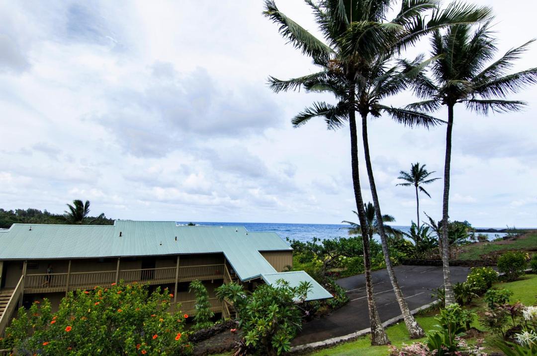 Photo of Others in Hana