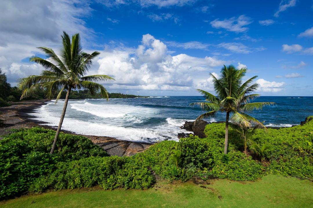 Photo of Others in Hana