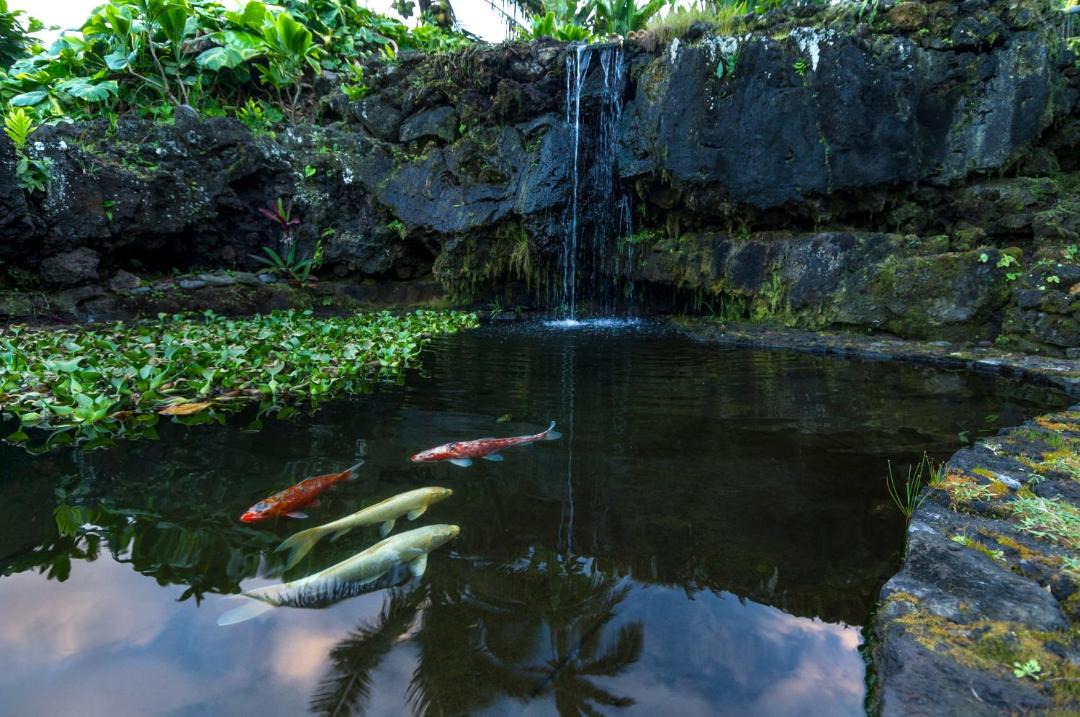 Photo of Others in Hana