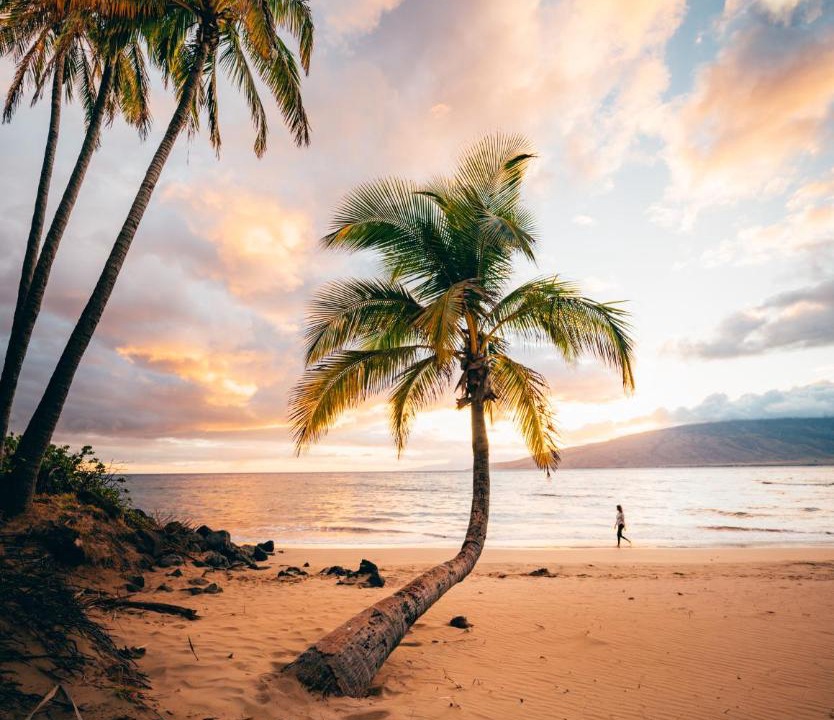 Photo of Others in Kahului