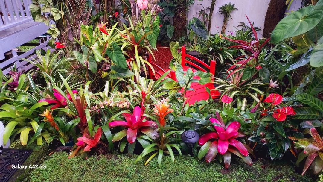 Photo of Others in Hilo