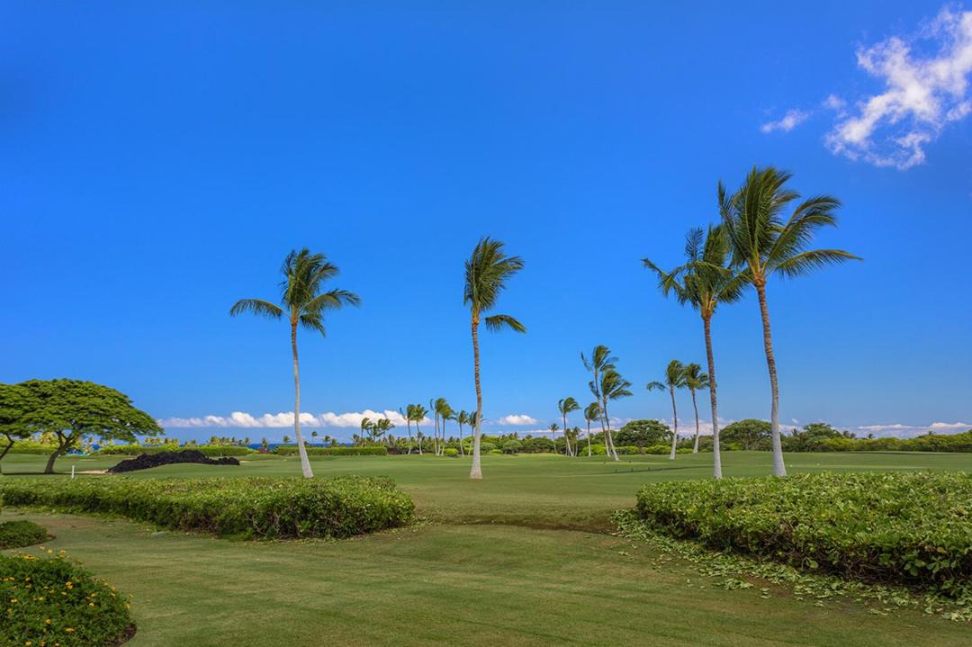 Photo of Others in Kailua-Kona