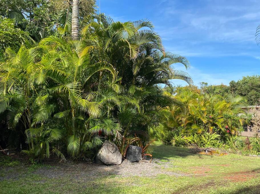 Photo of Others in Leilani Estates