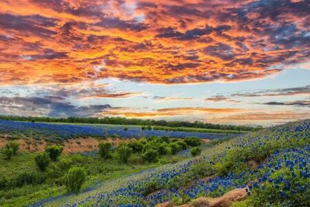 Photo of Others in Dripping Springs