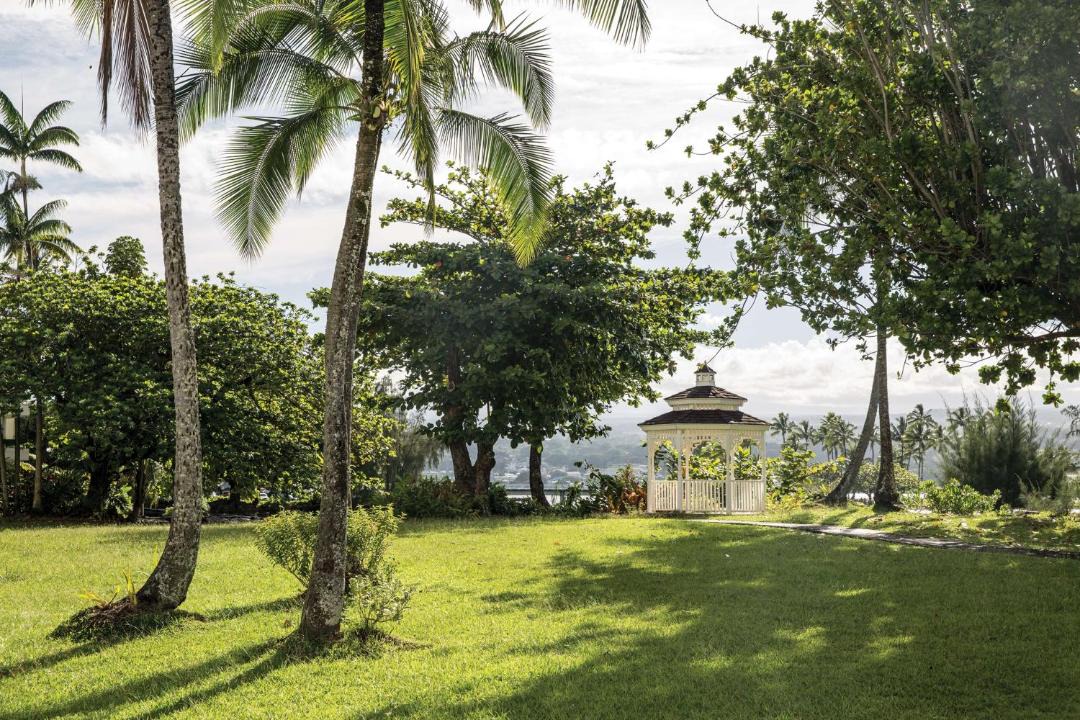 Photo of Others in Kapoho