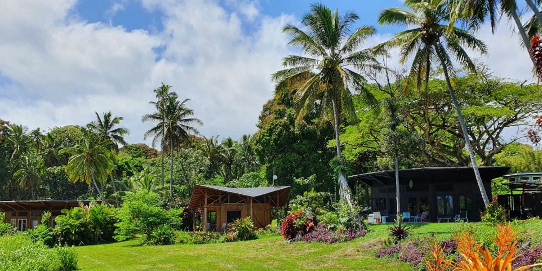 Photo of Others in Pahoa