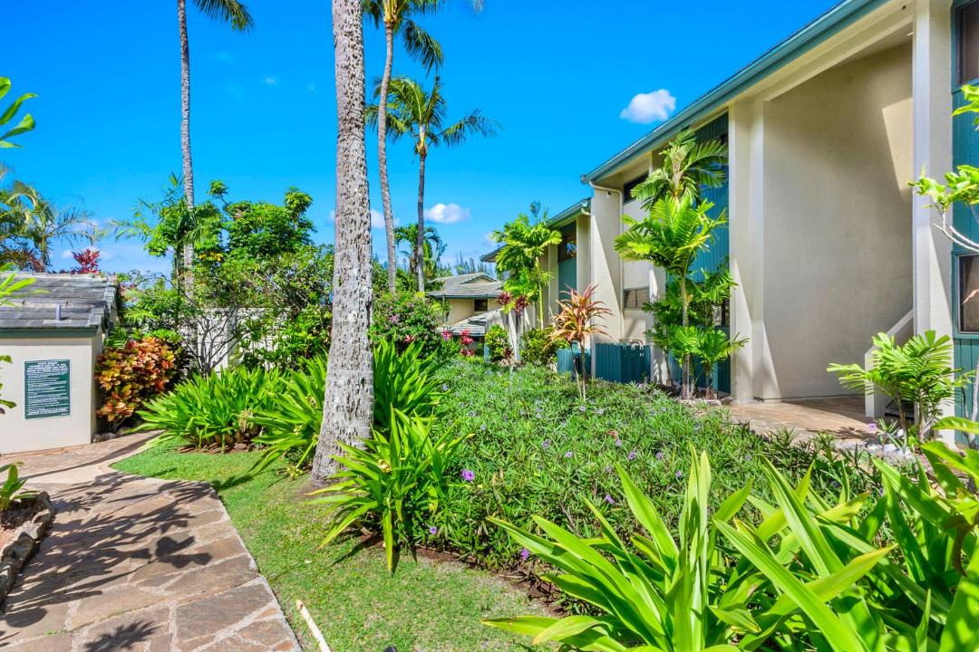 Photo of Others in Napili