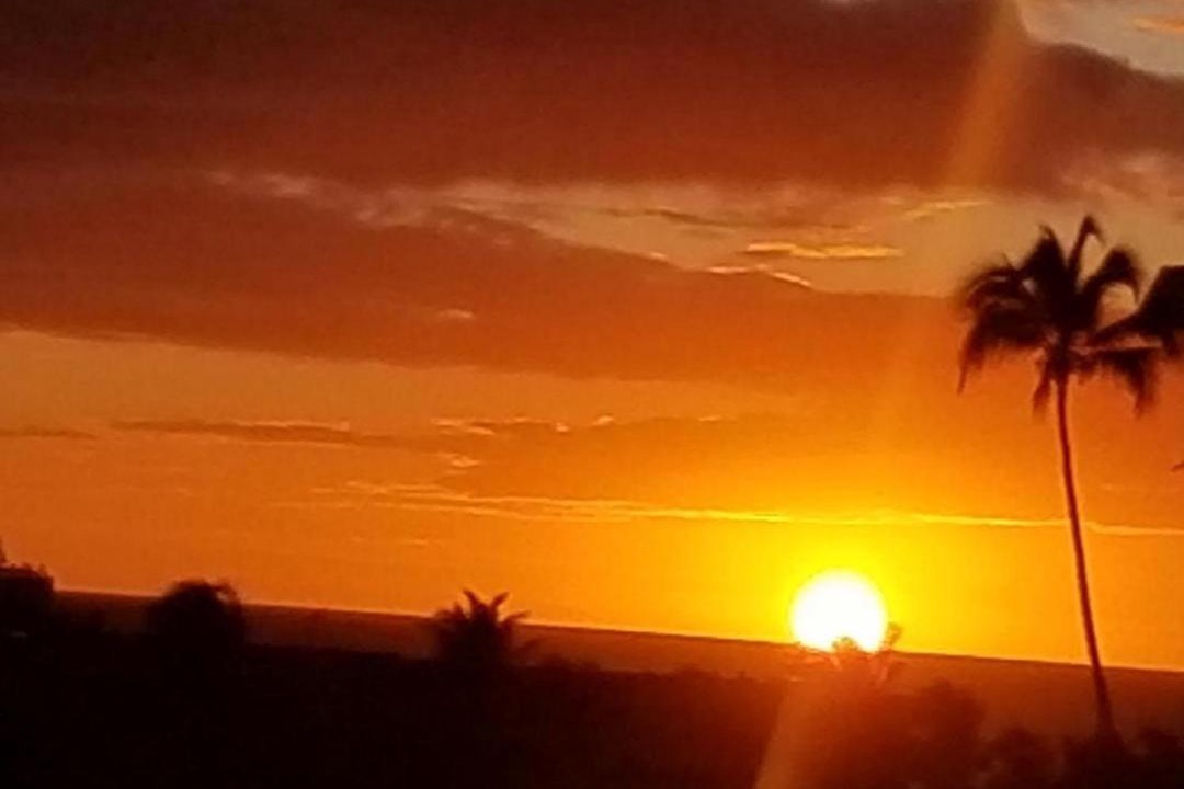 Photo of Others in Kihei