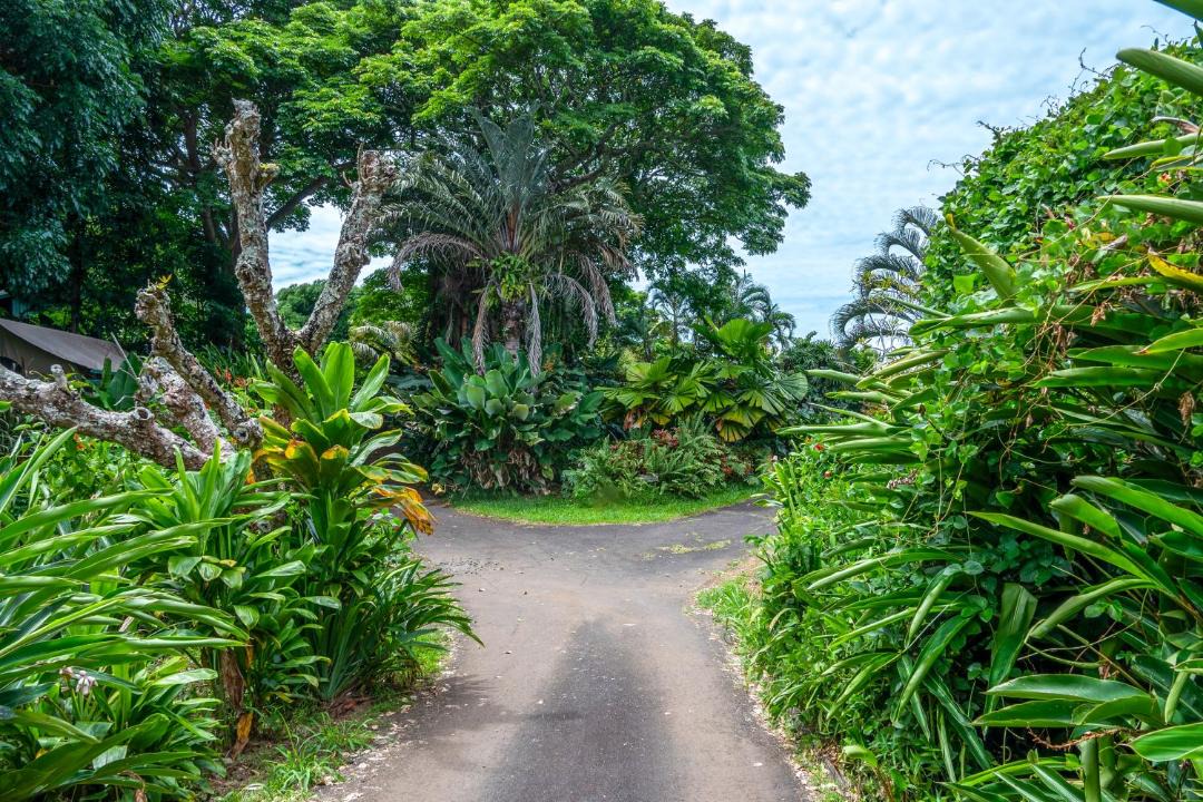 Photo of Others in Kealakekua