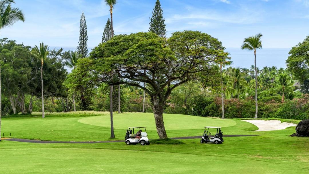 Photo of Others in Keauhou