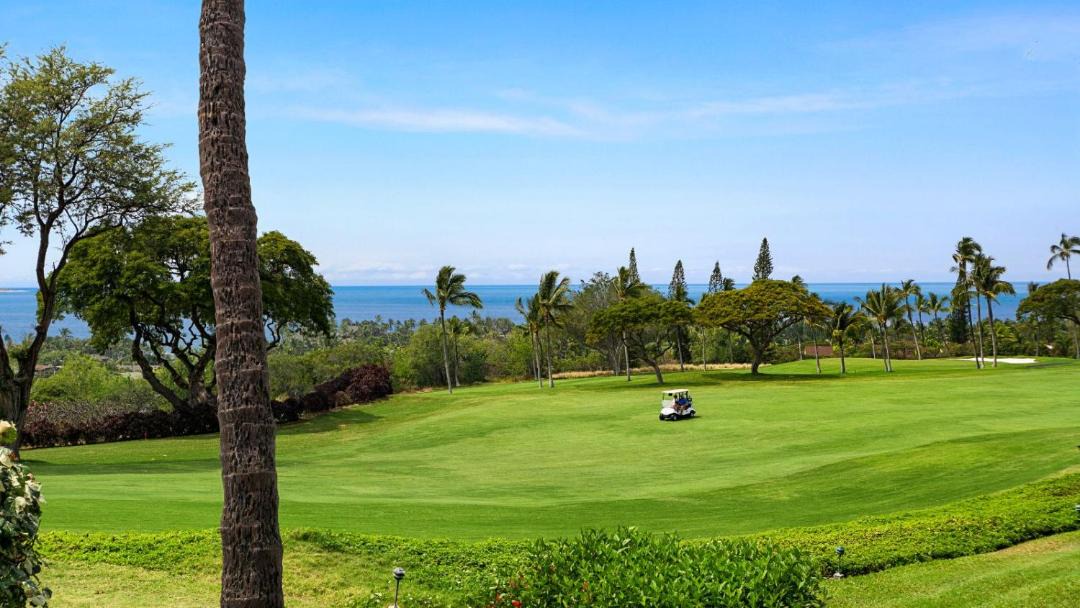 Photo of Outdoor in Keauhou