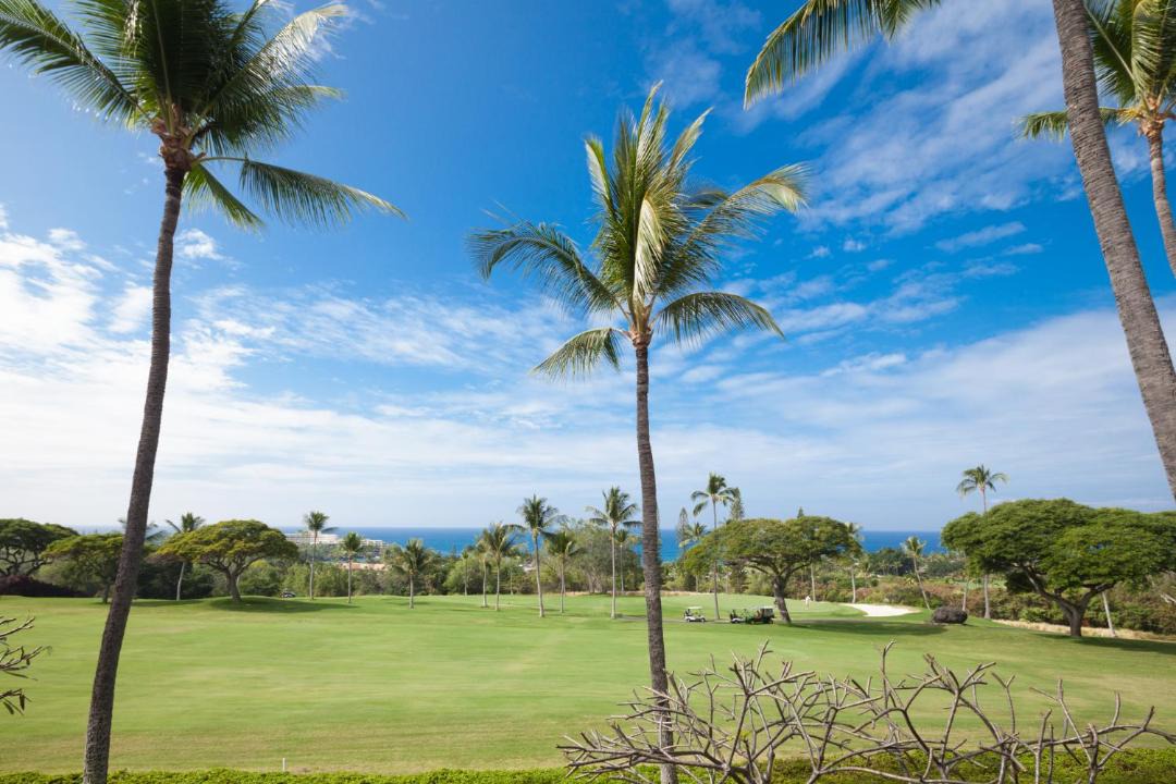 Photo of Outdoor in Keauhou