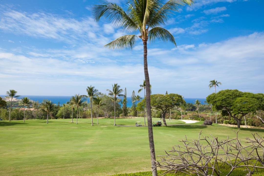 Photo of Outdoor in Keauhou