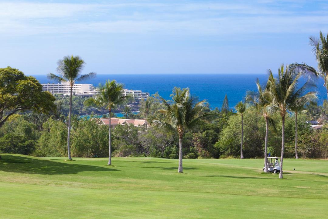 Photo of Outdoor in Keauhou