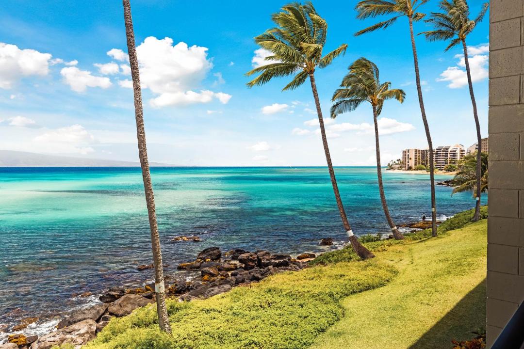 Photo of Others in Kahana