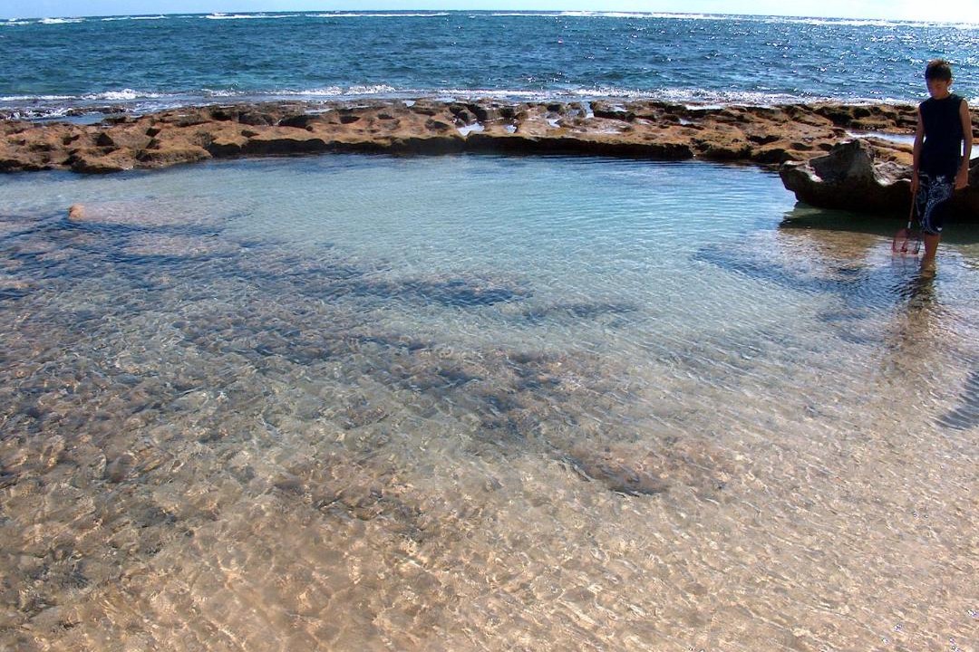 Photo of Outdoor in Hauula