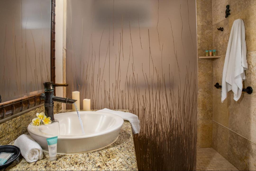 Photo of Bathroom in Napili