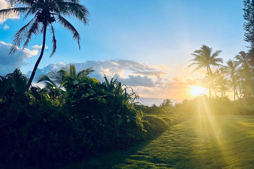 Photo of Outdoor in Kapoho