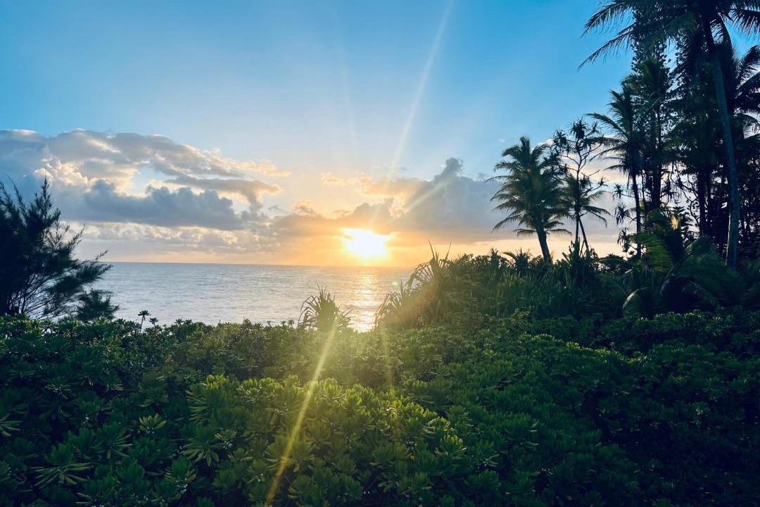 Photo of Others in Kapoho