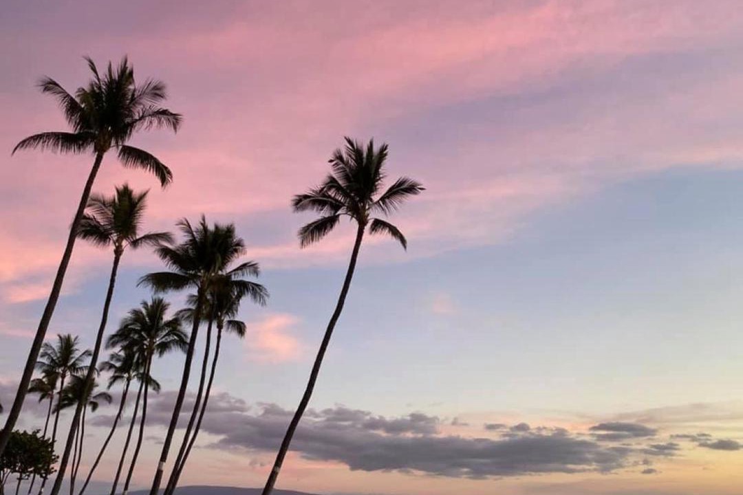 Photo of Others in Kihei