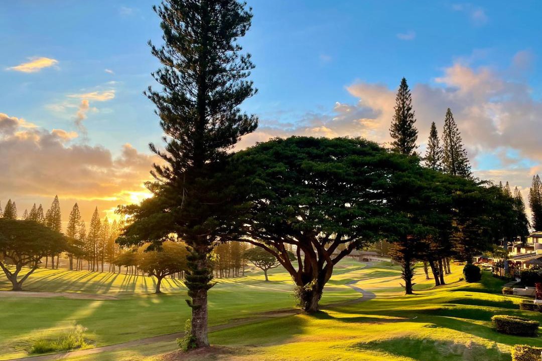 Photo of Others in Kapalua
